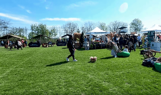  Animal Fest 2025 la USV Iași: O experiență unică pentru pasionații de animale pe 17-18 mai
Rescris: Animal Fest 2025 la USV Iași: Eveniment de neuitat pentru iubitorii de animale, 17-18 mai - Detalii fascinante și activități interactive!