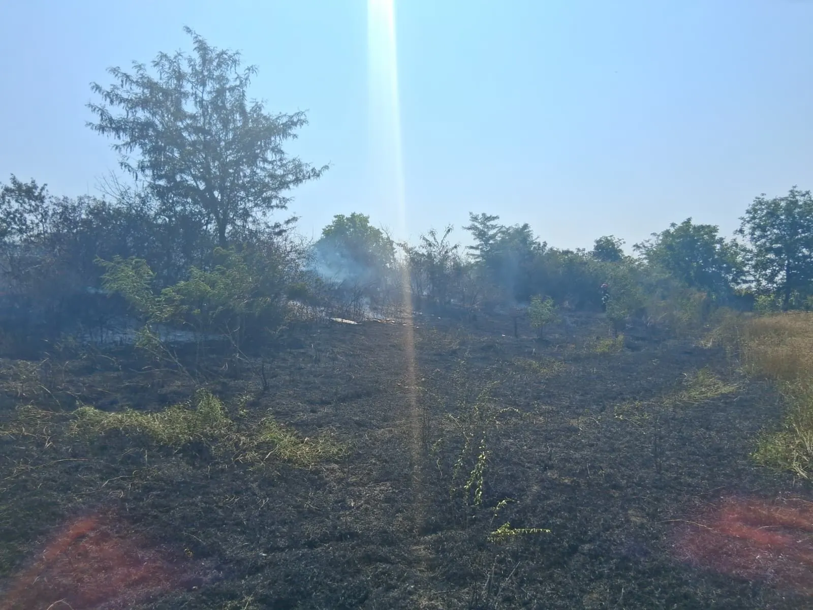 Incendiu pe limita cu Vaslui: peste 20 de hectare, risc pentru Cuza Vodă