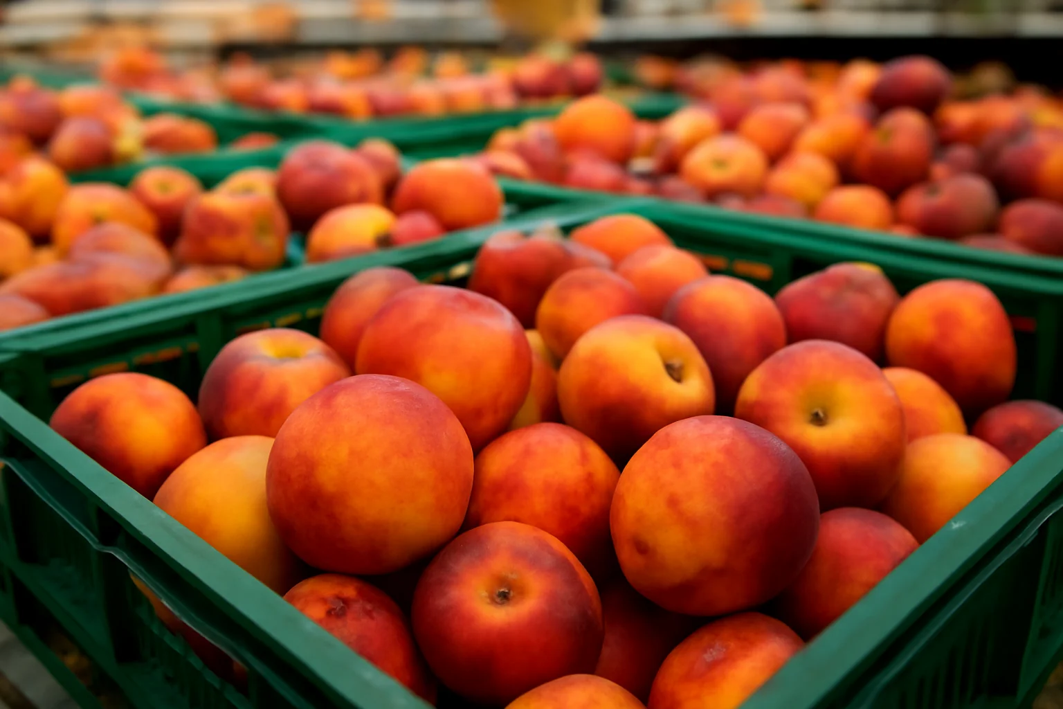 Voi știți ce mâncați? Fructul vedetă al sezonului are niveluri alarmante de nitrați în supermarketurile din Iași și nu doar acolo!